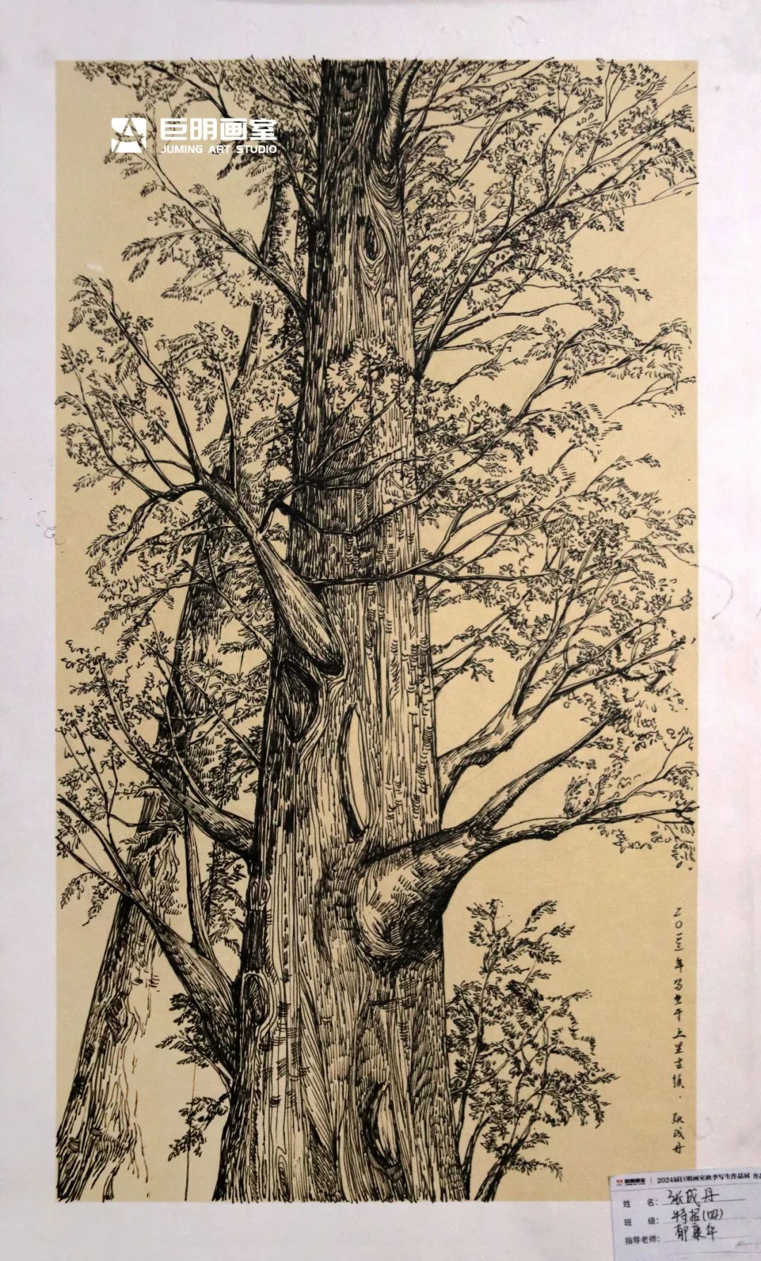 與山河擁抱，與藝術(shù)相遇丨2024屆重慶巨明畫室秋季寫生作品展-速寫篇