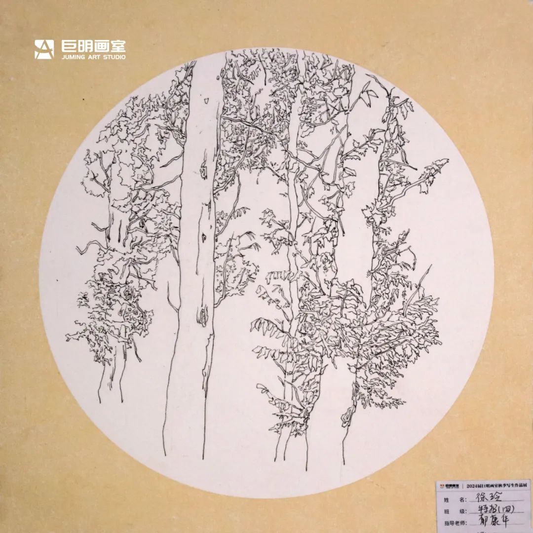 與山河擁抱，與藝術(shù)相遇丨2024屆重慶巨明畫室秋季寫生作品展-速寫篇