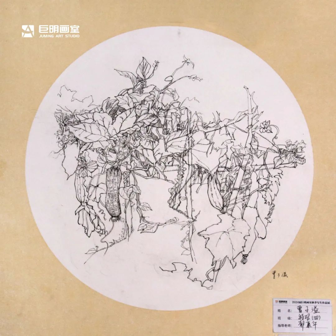 與山河擁抱，與藝術(shù)相遇丨2024屆重慶巨明畫室秋季寫生作品展-速寫篇