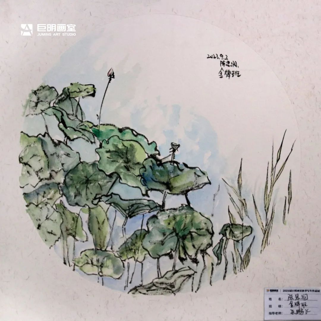 與山河擁抱，與藝術(shù)相遇丨2024屆重慶巨明畫室秋季寫生作品展-速寫篇