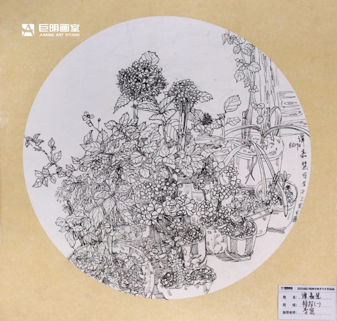 與山河擁抱，與藝術(shù)相遇丨2024屆重慶巨明畫室秋季寫生作品展-速寫篇