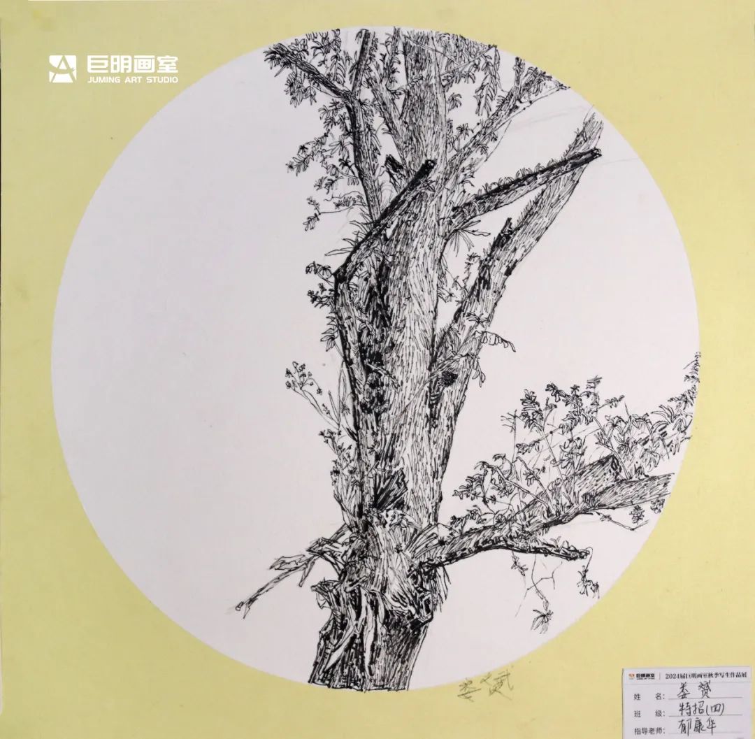 與山河擁抱，與藝術(shù)相遇丨2024屆重慶巨明畫室秋季寫生作品展-速寫篇