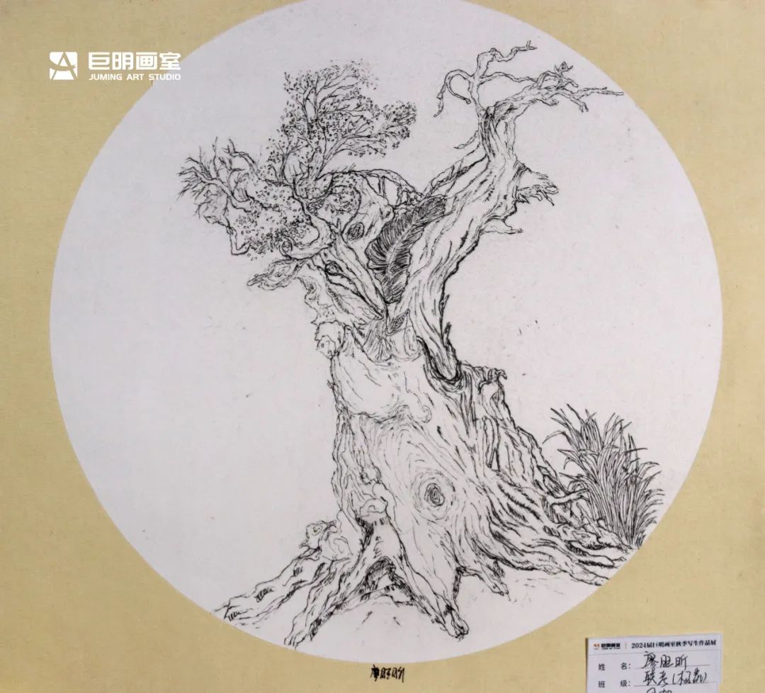 與山河擁抱，與藝術(shù)相遇丨2024屆重慶巨明畫室秋季寫生作品展-速寫篇