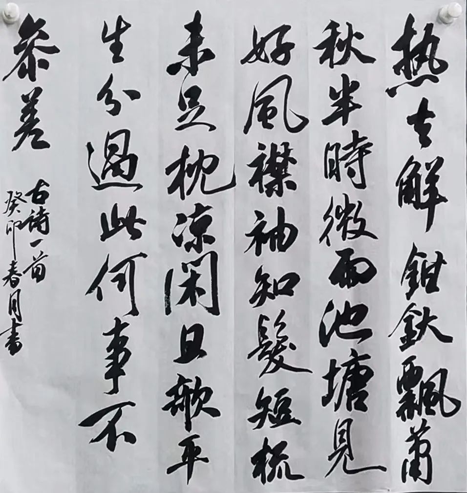巨明·淳風(fēng)書社2025屆書法班招生簡章丨書法集訓(xùn)沖刺，助你圓夢美院名校！