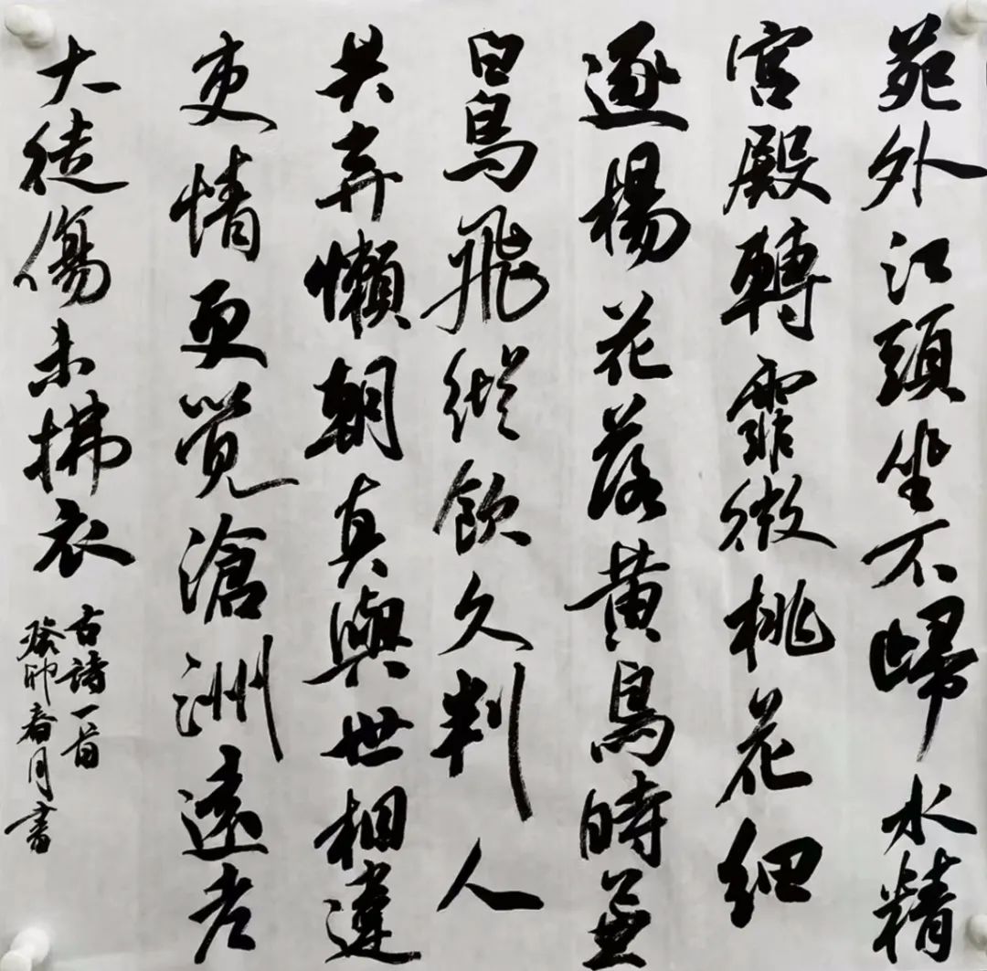 巨明·淳風(fēng)書社2025屆書法班招生簡章丨書法集訓(xùn)沖刺，助你圓夢美院名校！